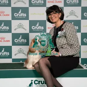 D-C-D-0-1-9-0 Crufts 2024 NEC Birmingham Toy D-C-D-0-1-9-0 Crufts 2024 NEC Birmingham Toy