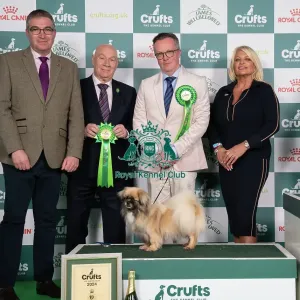 D-C-D-0-1-9-0 Crufts 2024 NEC Birmingham Utility D-C-D-0-1-9-0 Crufts 2024 NEC Birmingham Utility