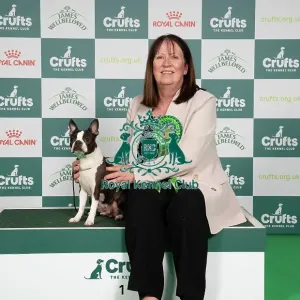 D-C-D-0-1-9-0 Crufts 2024 NEC Birmingham Utility D-C-D-0-1-9-0 Crufts 2024 NEC Birmingham Utility
