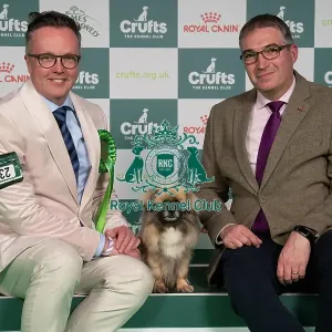 D-C-D-0-1-9-0 Crufts 2024 NEC Birmingham Utility D-C-D-0-1-9-0 Crufts 2024 NEC Birmingham Utility