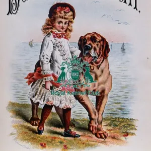 Daisys Guardian Polka Sheet Music