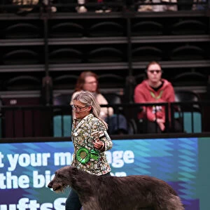 Dena Abbott and Nicola Bailey from Leicestershire with Pearl, a Deerhound, which was the Best of Breed winner today (Saturday 11. 03. 23), the third day of Crufts 2023, at the NEC Birmingham