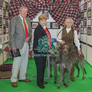 Discover Dogs Best Booth : Hound Group awarded to Deerhound Club Judges: Jim Discover Dogs Best Booth : Hound Group awarded to Deerhound Club Judges: Jim
