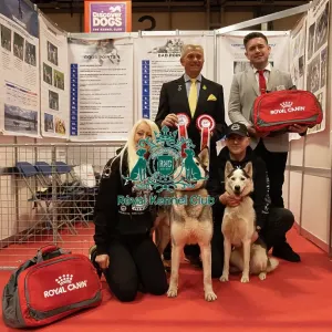 Discover Dogs overall winner stand 2025