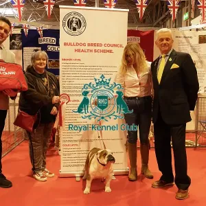 Discover Dogs stand winner, Bulldog