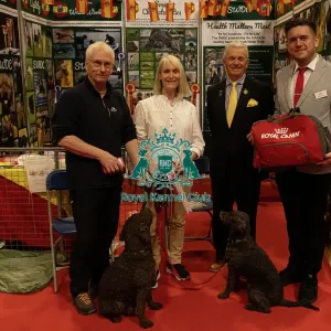 Discover Dogs Stand Winner Spanish Water Dog