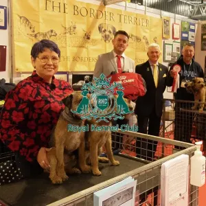 Discover Dogs winner Border Terrier
