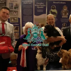Discover Dogs Winner Cavalier King Charles Spaniel stand