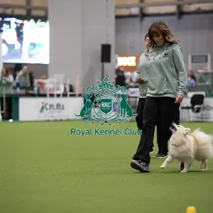 Fiona and Bodhi- FCI Obedience Display