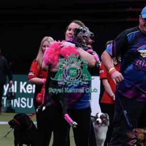 Flyball Final Flyball Final
