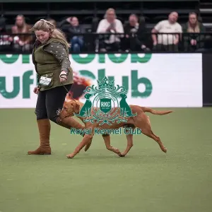 Gamekeepers Competition Final