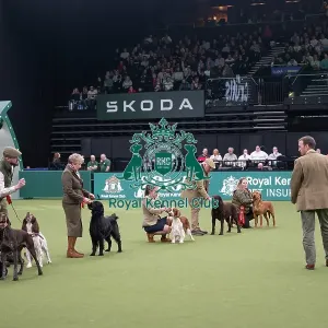 Gamekeepers Competition Final