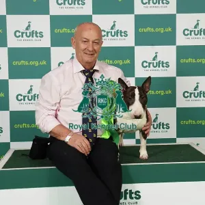 Ger Cox from Ireland with Jerry, a Bull Terrier (Miniature), which was the Best of Breed winner today (Saturday 11. 03. 23), the third day of Crufts 2023, at the NEC Birmingham