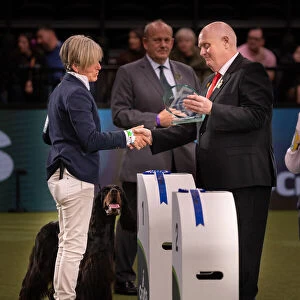 Gordon setter wins the vulnerable breed competition