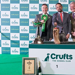 Group Winner 1st Toy Group Yorkshire Terrier Crufts 2022