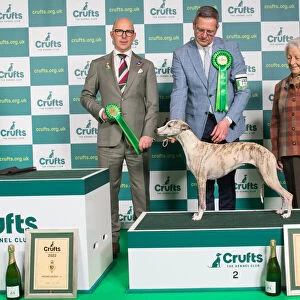 Group Winner Hound Group 2nd place Whippet Crufts 2022