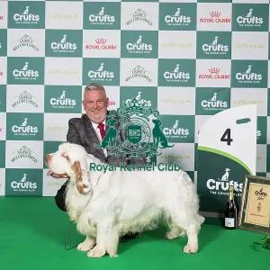 Gundog Group 4 Clumber Spaniel