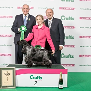 Collections: Crufts 2018