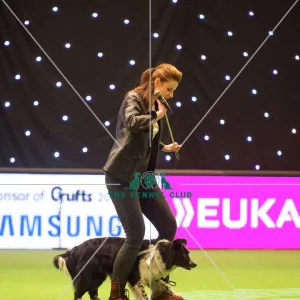 Heelwork to Musiv AC / DC Handler Irena IAatvankova and border collie, Mystic Layla