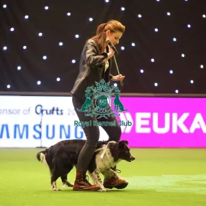 Heelwork to Musiv AC / DC Handler Irena IAatvankova and border collie, Mystic Layla Heelwork to Musiv AC / DC Handler Irena IAatvankova and border collie, Mystic Layla