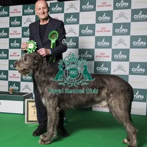 Hound Group 3