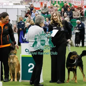 Inter-Regional Obedience Competition Inter-Regional Obedience Competition