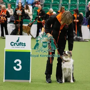 Inter-Regional Obedience Competition Inter-Regional Obedience Competition