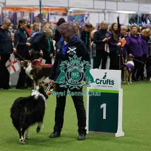 Inter-Regional Obedience Competition Inter-Regional Obedience Competition