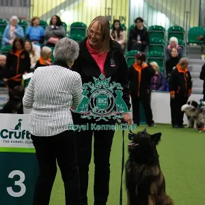 Inter-Regional Obedience Competition Inter-Regional Obedience Competition