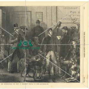 International Dog Show at Islington 1865