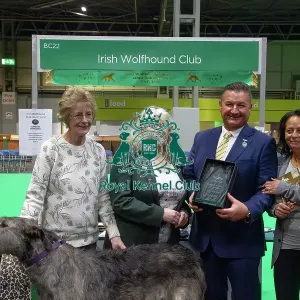 Irish Wolfhound breed club wins best hound breed club of Crufts 2025