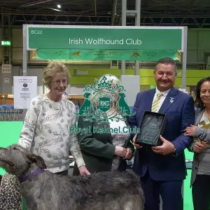 Irish Wolfhound breed club wins best hound breed club of Crufts 2025