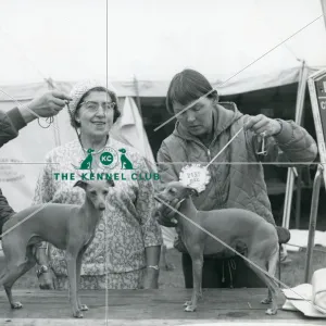 Collections: Vintage Dog Showing