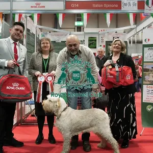 The Italian Spinone Club being awarded the Best Discover Dogs Stand for the Gundog Group and the Overall Runner Up at Crufts on Sunday 10th March 2024 by Alison Scutcher The Italian Spinone Club being awarded the Best Discover Dogs Stand for the Gundog Group and the Overall Runner Up at Crufts on Sunday 10th March 2024 by Alison Scutcher