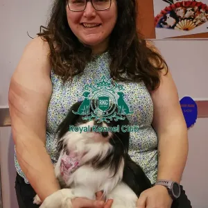 Japanese Chin with owner at Discover Dogs