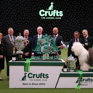 Javier Gonzalez Menicote from Croatia with Orca, a Lagotto Romagnolo, who won the coveted title of Best in Show today and the reserve Nikolas Kanals Matteo Autolitano from Greece/Italy with Blondie, an Old English Sheepdog, (Sunday 12. 03)