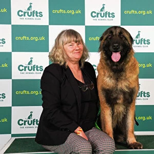 Jenny Haslett from County Clare with Ursa, an Estrela Mountain Dog, which was the Best of Breed winner today (Friday 10. 03. 23), the second day of Crufts 2023, at the NEC Birmingham