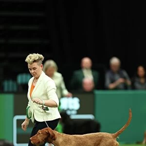 Jo Lumasia from Lanark with Nacho, a Wirehaired Vizsla, which was the Best of Breed winner today (Thursday 09. 03. 23), the first day of Crufts 2023, at the NEC Birmingham