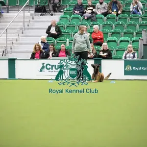 Kate Bartrum and dog Rey- FCI Obedience Display