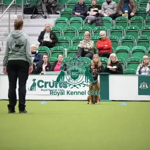 Kate Bartrum and dog Rey- FCI Obedience Display