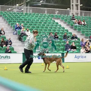 Kate Bartrum and dog Rey- FCI Obedience Display