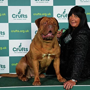 Kay Strong from Bolton with Gloria, a Dogue de Bordeaux, which was the Best of Breed winner today (Friday 10. 03. 23), the second day of Crufts 2023, at the NEC Birmingham