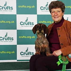 Kim McCalmont from Gloucestershire with Cherry, a Dachshund (Wire Haired), which was the Best of Breed winner today (Saturday 11. 03. 23), the third day of Crufts 2023, at the NEC Birmingham