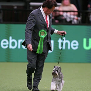 Masami Uryu from Japan, with Magi, a Miniature Schnauzer, which was the Best of Breed winner today (Sunday 12. 03. 23), the last day of Crufts 2023, at the NEC Birmingham