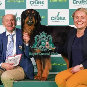 Michael Murphy and Heli Mooney from Kildare with Beamish, a Hovawart, which was the Best of Breed winner today (Friday 10. 03. 23), the second day of Crufts 2023, at the NEC Birmingham