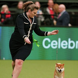 Michaella Dunhill-Hall and Liz Dunhill from Clumber Park, with Yang, a Japanese Shiba Inu, which was the Best of Breed winner today (Sunday 12. 03. 23), the last day of Crufts 2023, at the NEC Birmingham