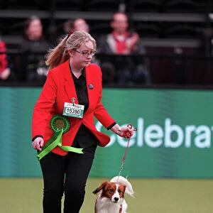 Molly Wallis from Castleford, with Eric, a Kooikerhondje, which was the Best of Breed winner today (Sunday 12. 03. 23), the last day of Crufts 2023, at the NEC Birmingham