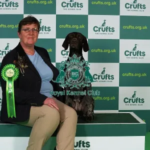 Nikki Steward from Renfrew with Movern, a German Shorthaired Pointer, which was the Best of Breed winner today (Thursday 09. 03. 23), the first day of Crufts 2023, at the NEC Birmingham