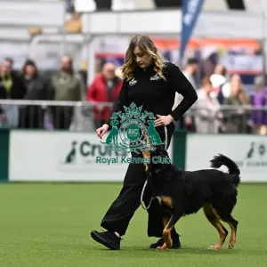 Obedience Obedience