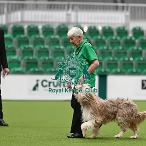 Obedience Obedience